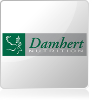 Damhert Damhert